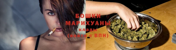 PSILOCYBIN Балахна